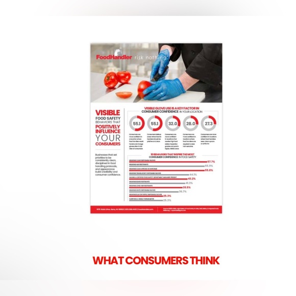 ONESAFE® BLUE VINYL GLOVES Foodhandler Extra Large Clear Powder Free800 per case - Picture 10 of 12